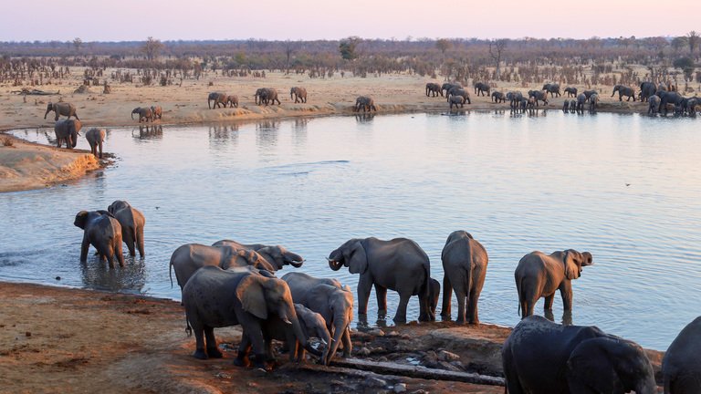 Hwange National Park
