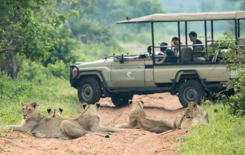 Muchenje Game Drive