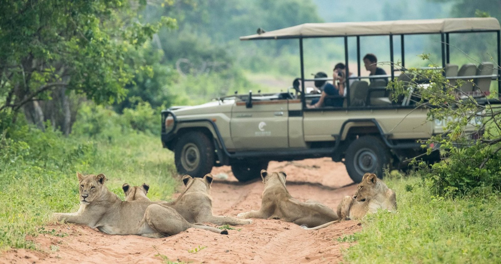 Muchenje Game Drive