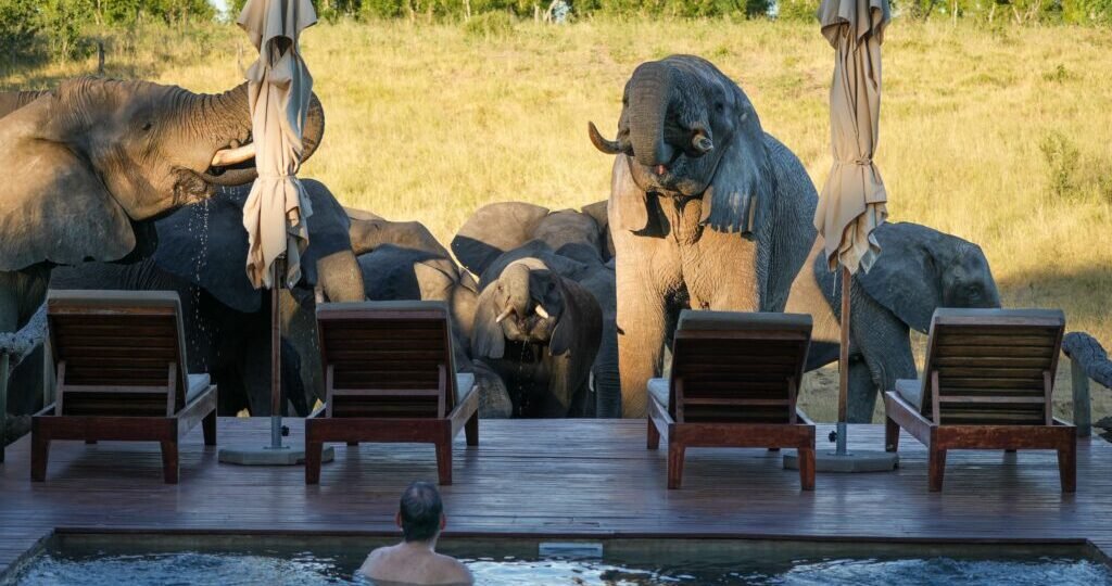 Somalisa Expeditions