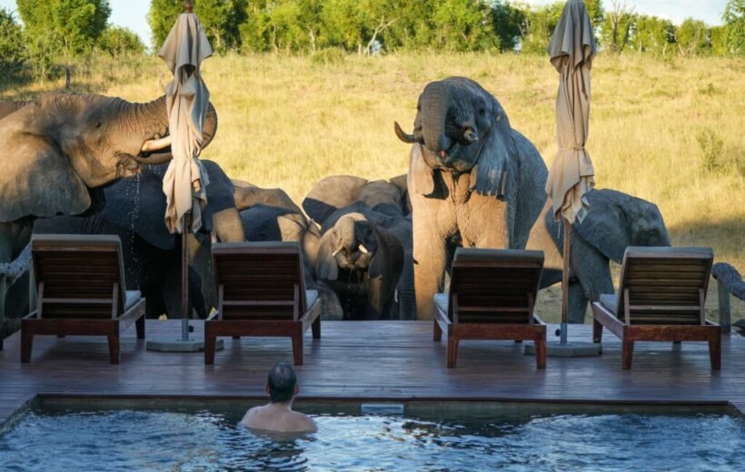 Hwange Couple's Retreat ~ 4 Nights