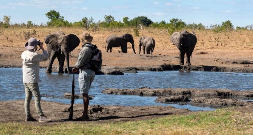 walking safari somalisa