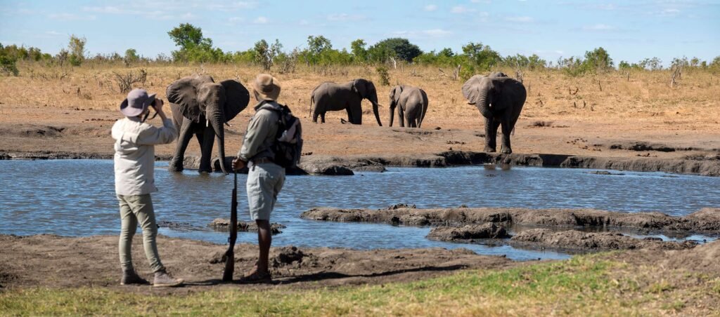 walking safari somalisa