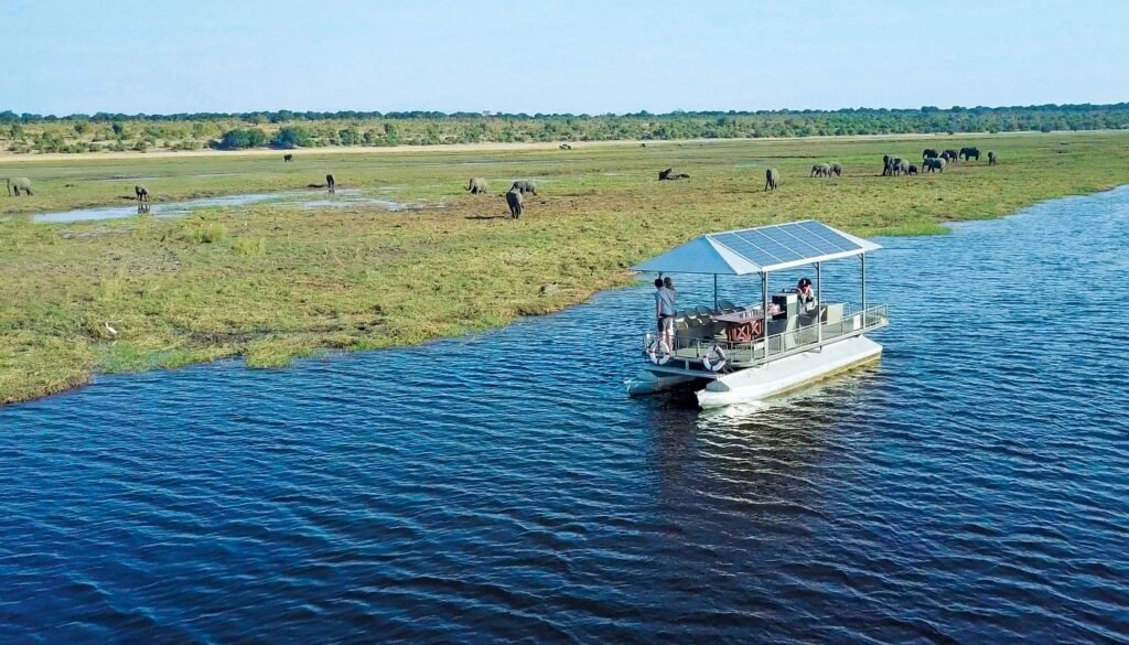 Chobe Boat with Elephants in vicinity