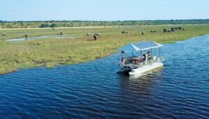 Chobe Boat with Elephants in vicinity