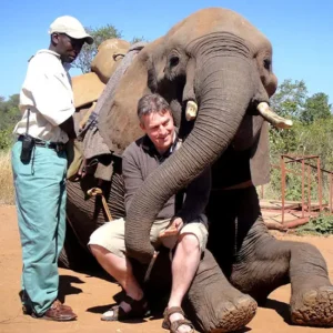 Elephant-Interaction