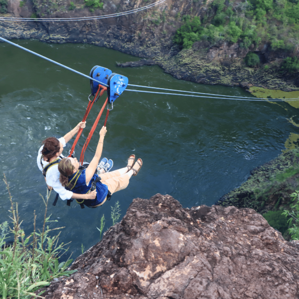 zipline